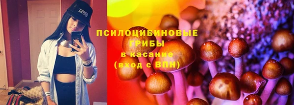 индика Строитель