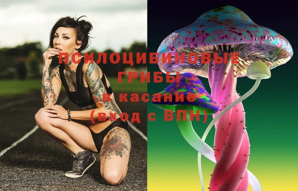 индика Строитель