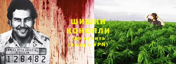 индика Строитель