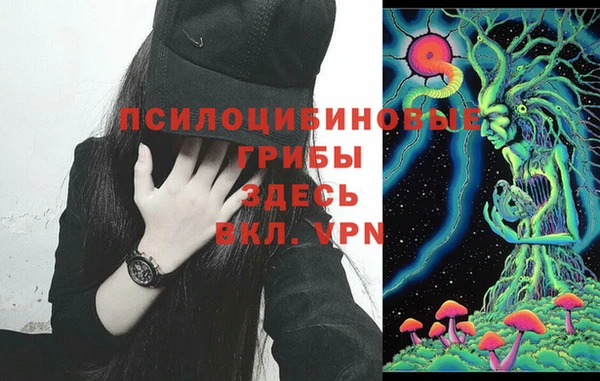 прущий лед Струнино